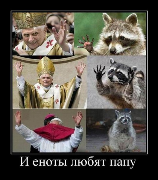 Енотик демотиватор