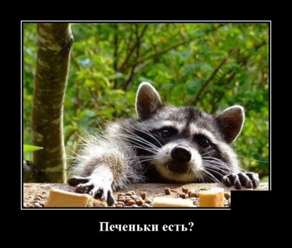 Тихо стырил и ушёл