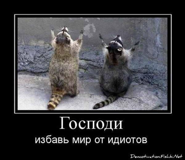 Господи Спаси мир от идиотов