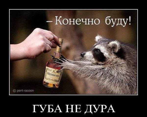 Ну ка мечи стаканы на стол