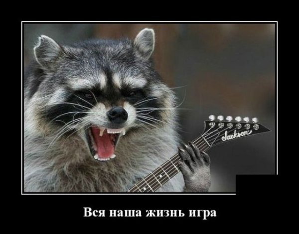 Демотиватор Нашествие еноты