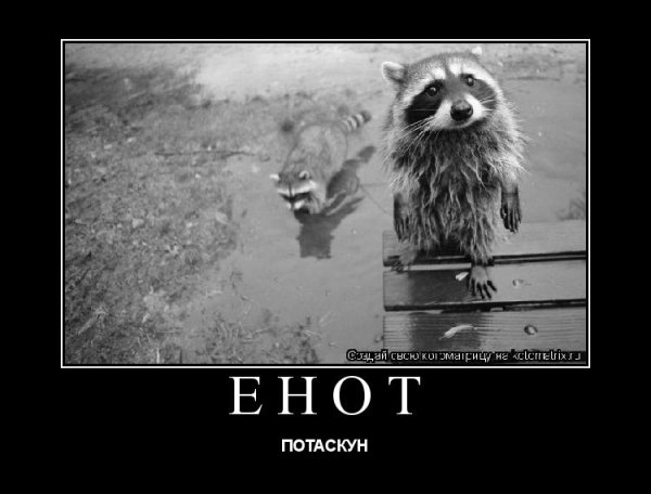 Мы люди не местные