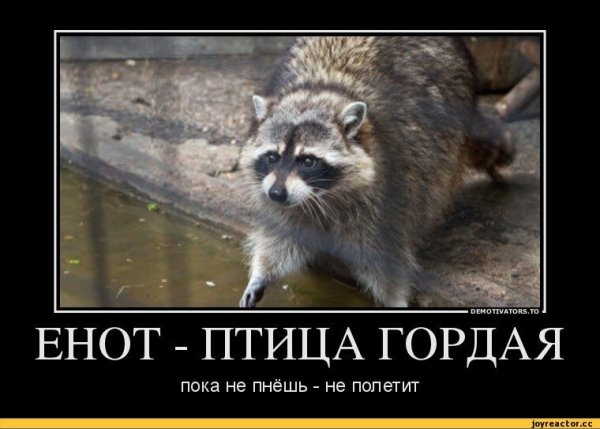 Птица гордая пока не пнешь не полетит