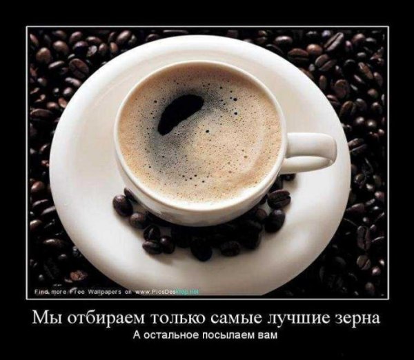 Кофе мотиваторы