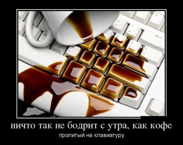 Доброе утро демотиваторы смешные