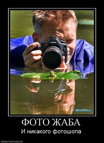 Фотограф прикол