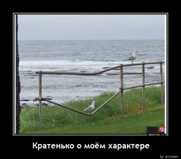 Прикольные демотиваторы