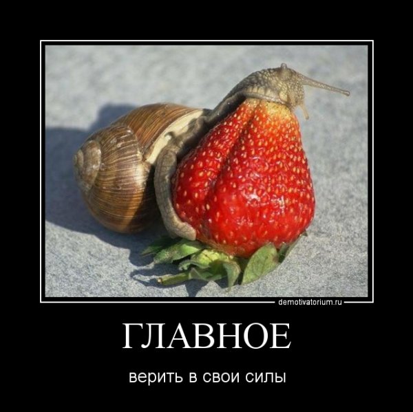 Лучшие демотиваторы смешные