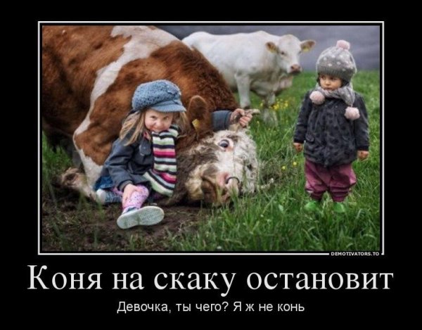 Демотиваторы со смыслом