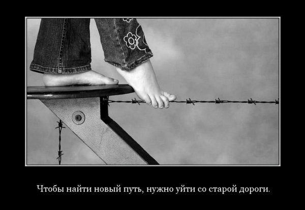 Лучшие демотиваторы