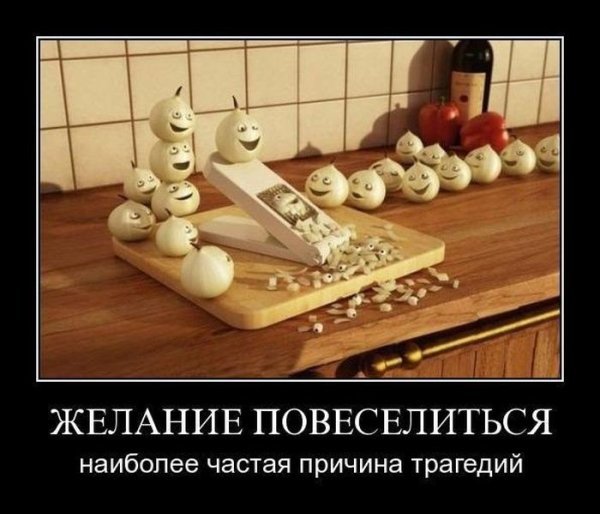 Демотиваторы свежие