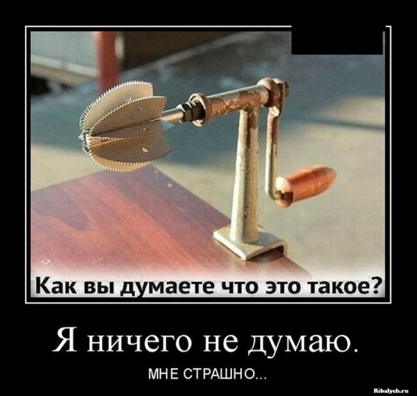 Демотиваторы про океан