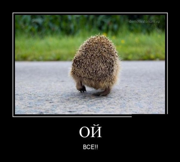 Злывые вы, уйду я от вас.