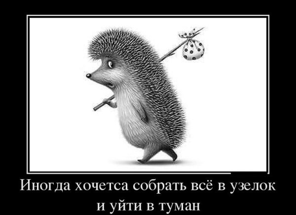 Ёжик с узелком на палочке прикол