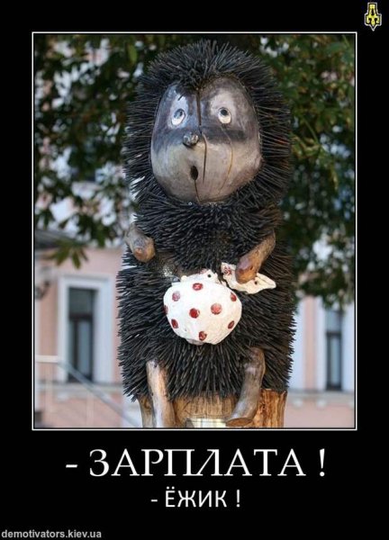 Демотиваторы с Ёжиком