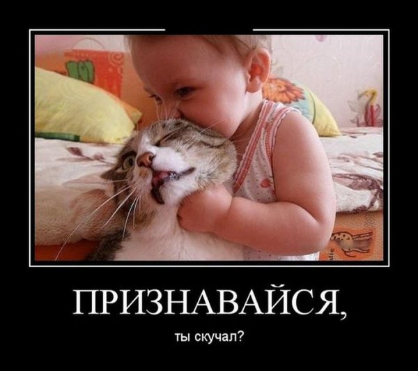 Признавайся ты скучал