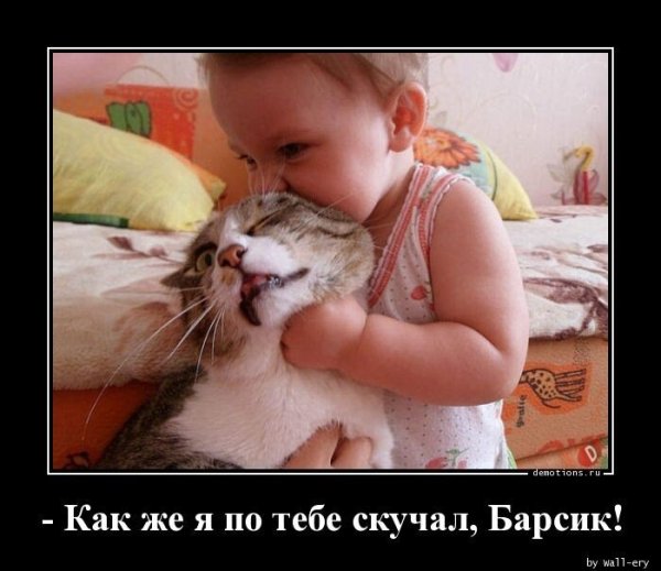 Признавайся ты скучал