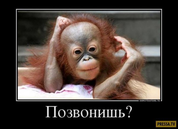 Позвони мне позвони