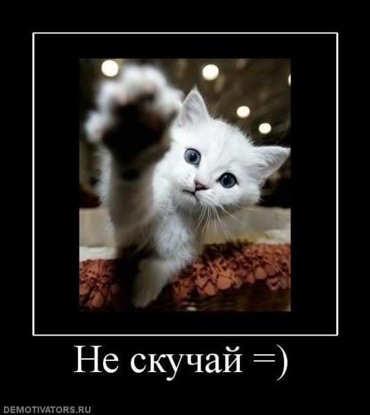 Не грусти