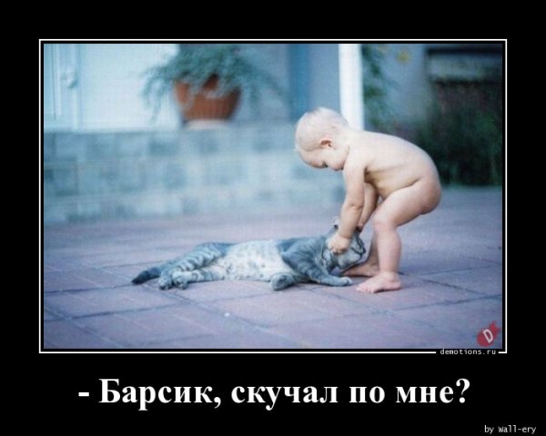Напарник брось меня Спасайся сам