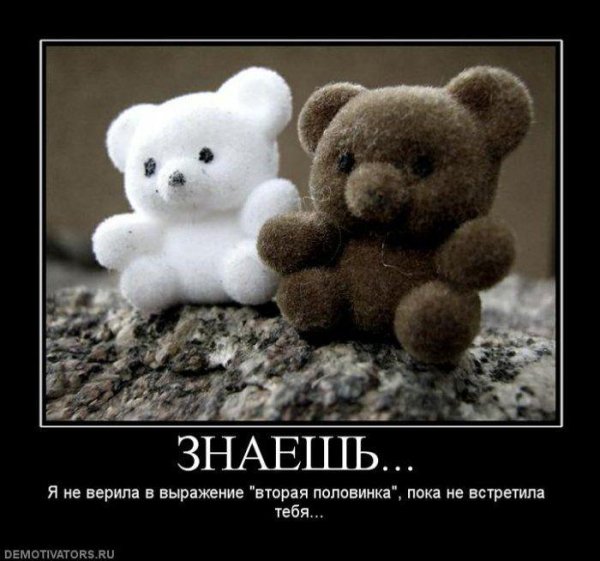 Демотиватор про вторые половинки
