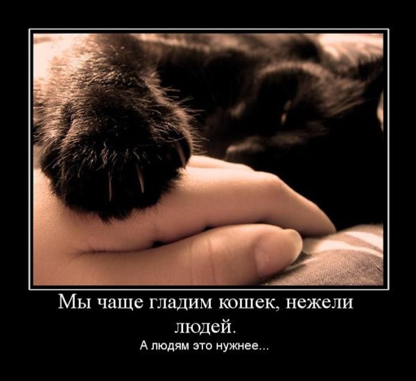Демотиваторы нежность