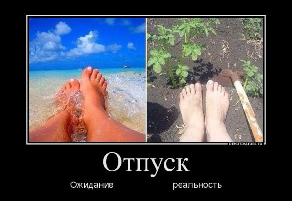 Отпуск демотиватор