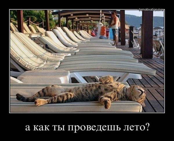 Отпуск демотиватор