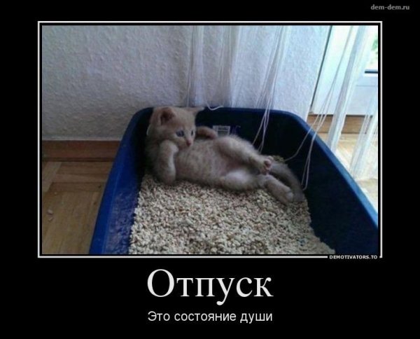Демотиваторы про отпуск смешные