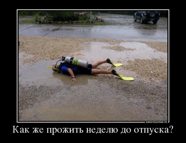Неделя до отпуска
