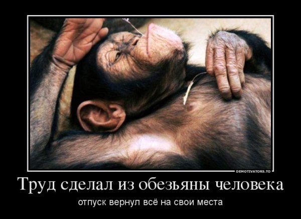 Труд сделал из обезьяны человека