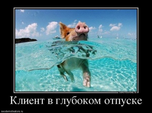 Я В отпуске