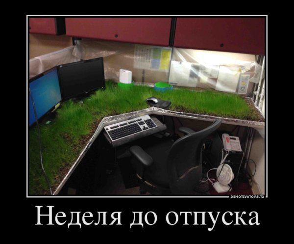 Неделя до отпуска