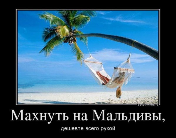 Мальдивы прикол