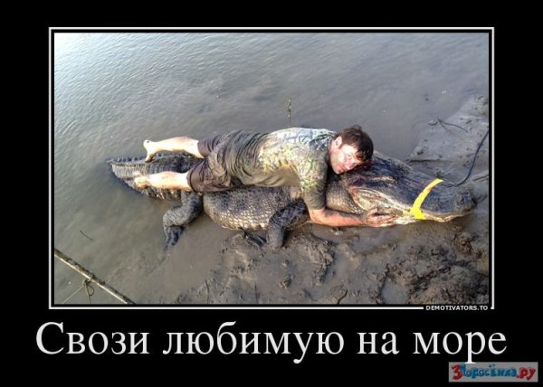 Отпуск демотиватор