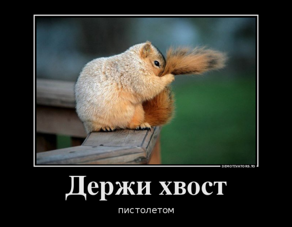 Позитив демотиваторы