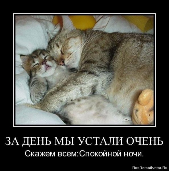 Позитивные демотиваторы