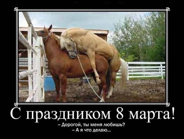 Демотиваторы позитивные смешные