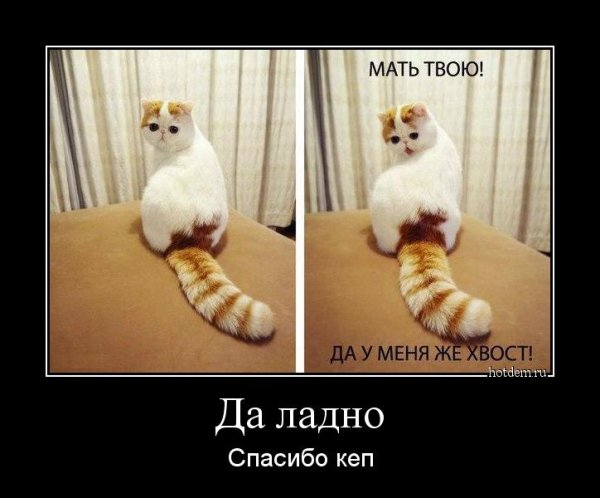 Ладно спасибо