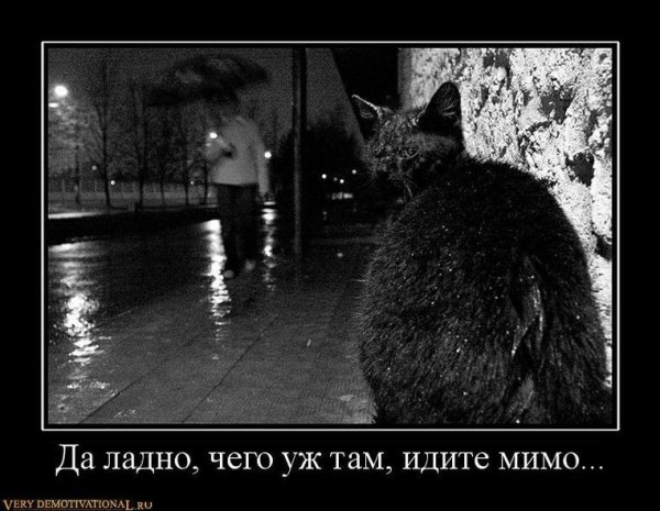 Ладно демотиватор