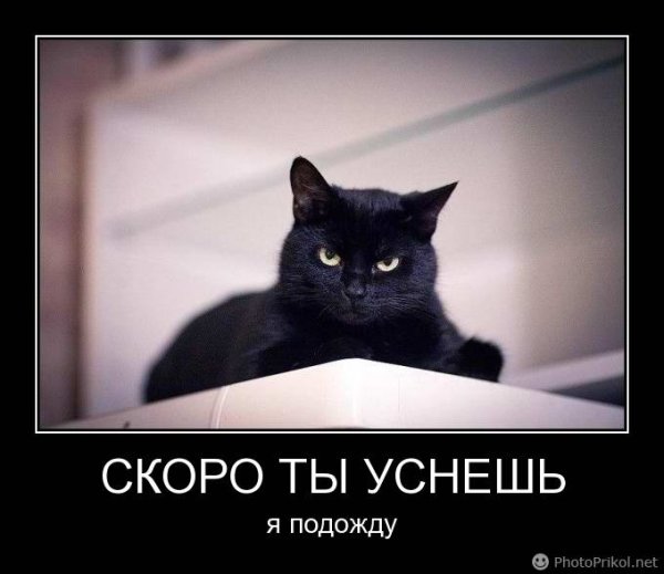 Я сплю демотиватор