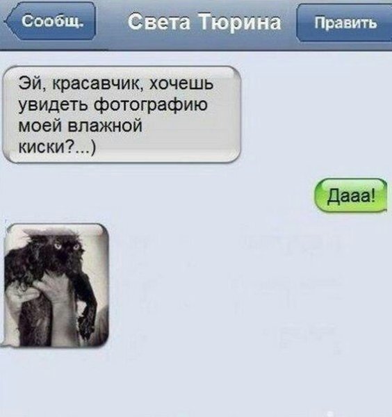 Смс приколы смешные