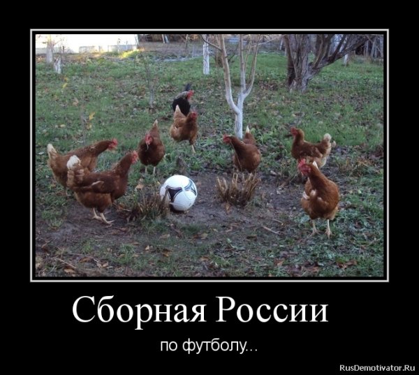 Сборная России по футболу демотиваторы