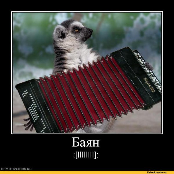 Аккордеон прикол