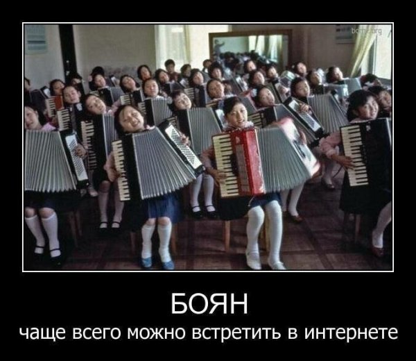 Баян демотиватор
