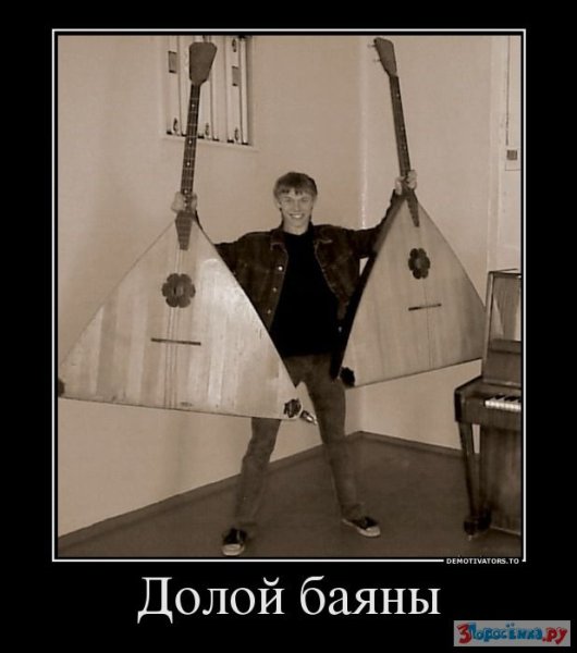 Баян демотиватор