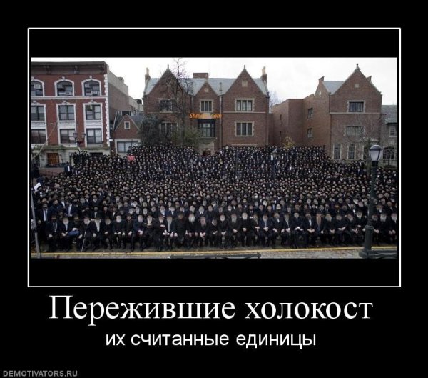 Демотиваторы про Холокост