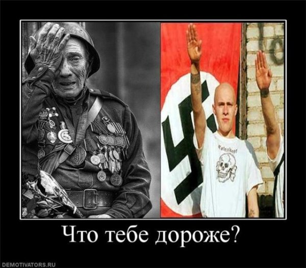 Украинские фашисты демотиваторы