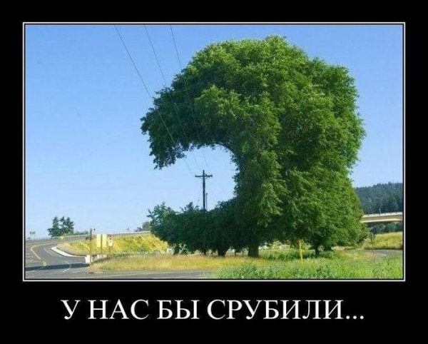 Демотиваторы про природу