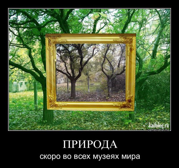 Философия демотиватор